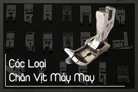 Các loại chân Vịt Máy May