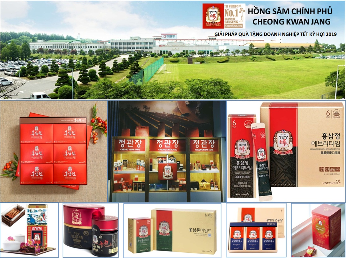 qua tang y nghia mua tet ky hoi 2019