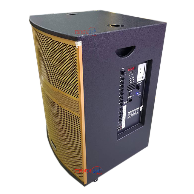 Tổng quan về loa kéo công suất 300W