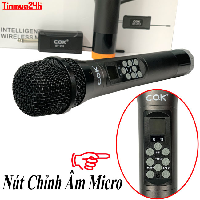 bộ Micro Không Dây Cok St-213