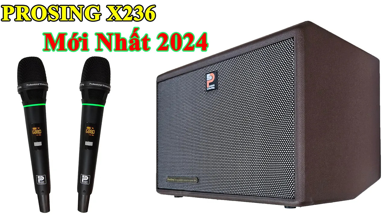 Loa Karaoke Xách Tay Prosing DSP 236X 