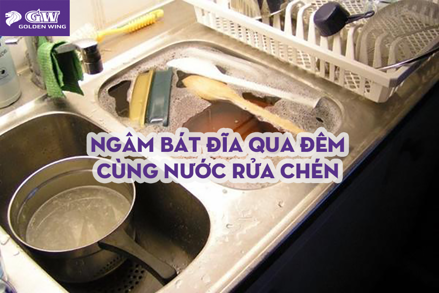 Ngâm bát đĩa qua đêm cùng nước rửa chén