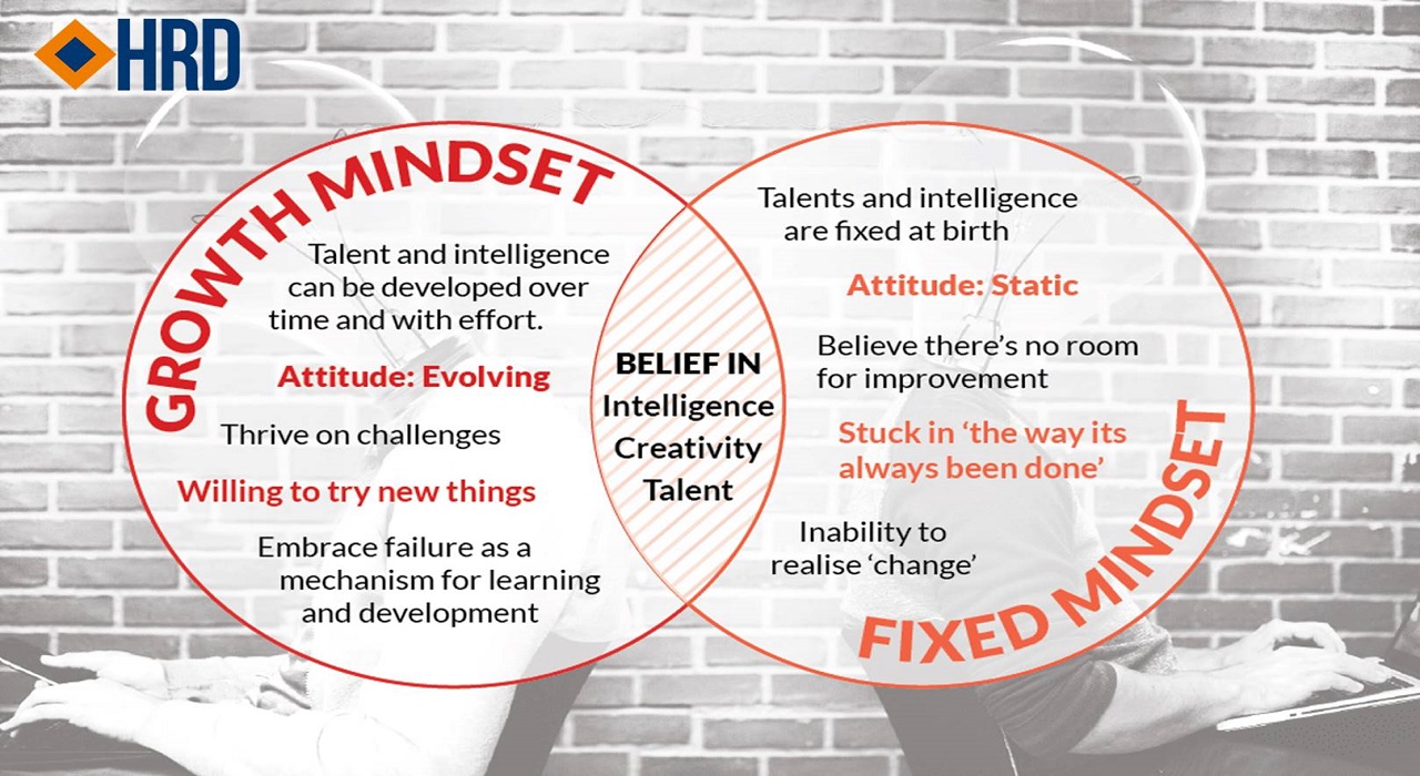 Growth mindset và Fixed mindset - Thay đổi tư duy như thế nào để tiến nhanh trong công việc?