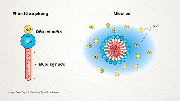 Xà phòng tiêu diệt vi khuẩn, virus như thế nào?