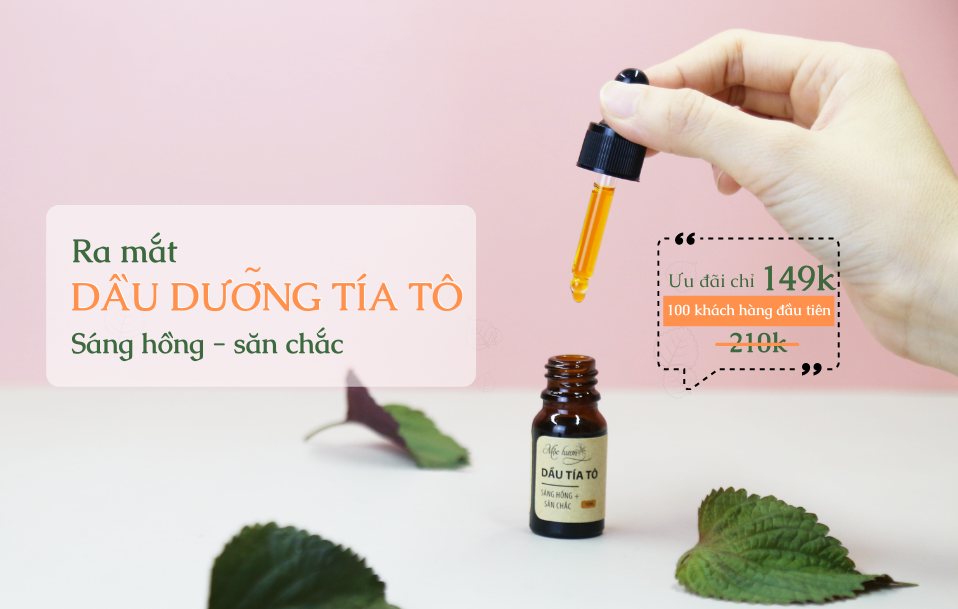 Ra mắt sản phẩm mới: Dầu dưỡng Tía tô - ưu đãi đặc biệt cho 100 khách hàng đầu tiên