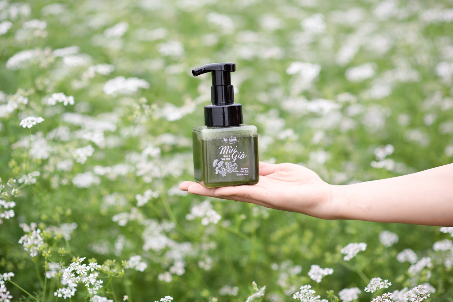 Tại sao Hand & face soap Mùi già dùng được cho cả rửa mặt và rửa tay