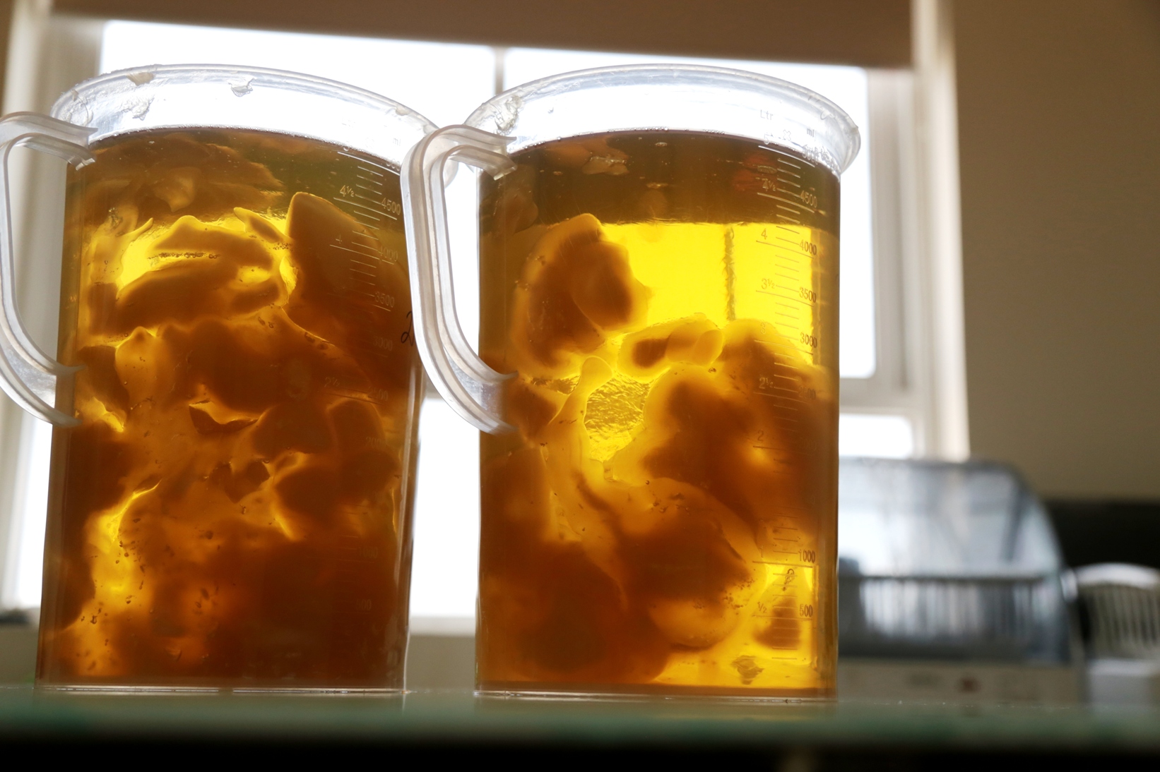 Tản mạn về castile soap - cái gì càng khó, càng ít người làm được, mình lại càng phải quyết tâm!