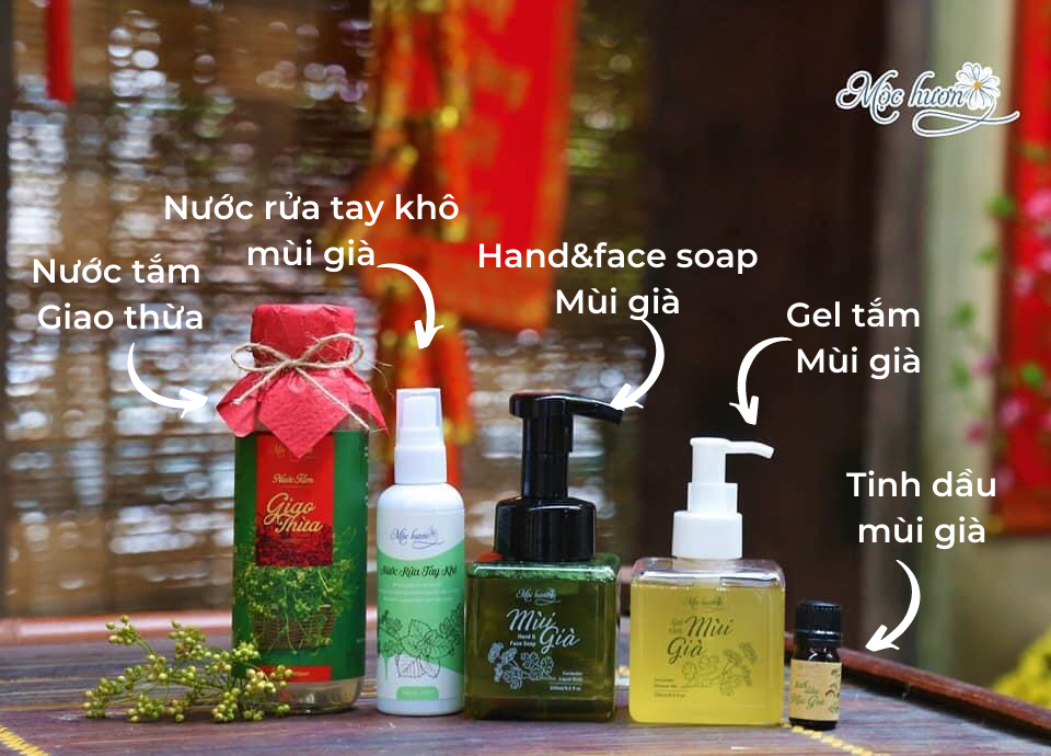 Các sản phẩm tự nhiên từ Mùi già của Mộc Hương