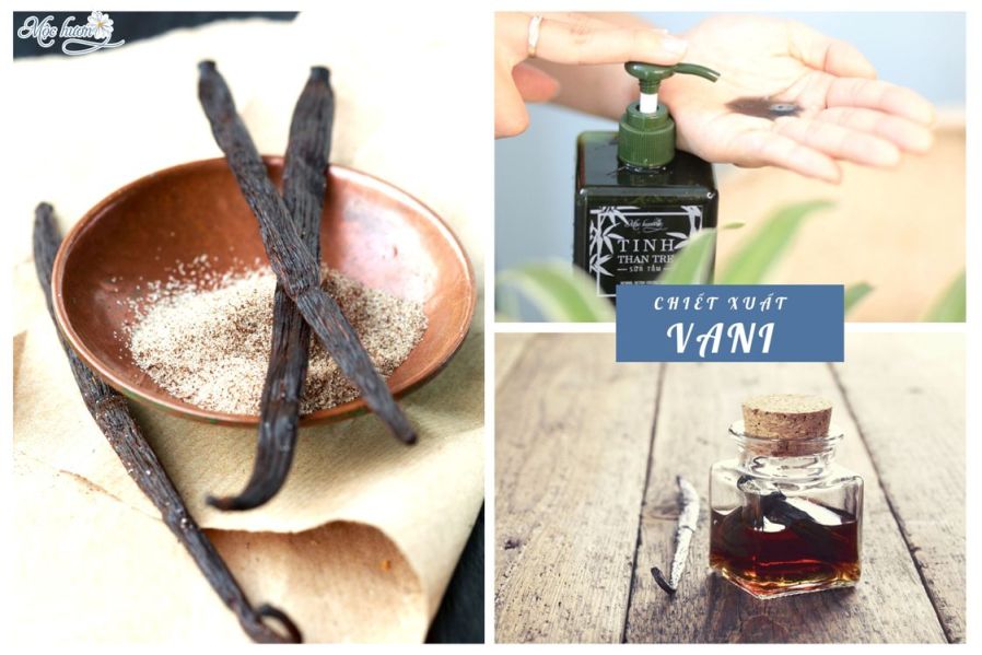 Bật mí 1 thành phần cực kỳ đặc biệt trong Sữa tắm tinh than tre