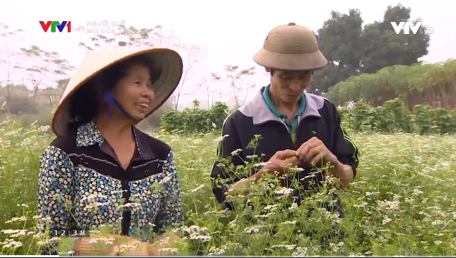 [VTV1] Người quê - Mùi của tết