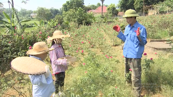 [VTV3] Du hành tuổi thơ: Khám phá trang trại hoa hồng Mộc Hương