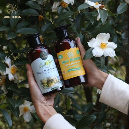 Sữa tắm thảo mộc là gì? Các tiêu chí khi lựa chọn và TOP sữa tắm thảo mộc tốt nhất