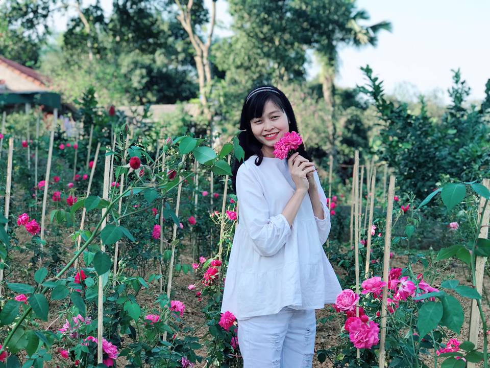 Mộc Hương giữ trà hoa hồng sạch tuyệt đối như thế nào?