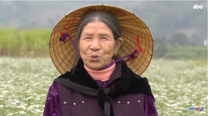 [SCTV8-VITV] Lưu giữ hương Tết truyền thống từ cây mùi già