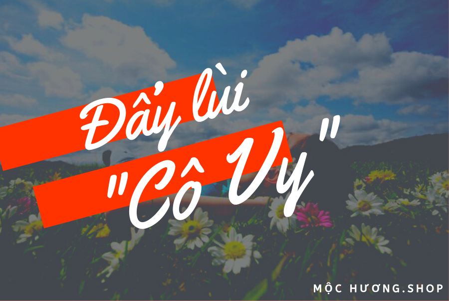 Top 3 sản phẩm nhà Mộc Hương nên có trong nhà giúp bạn đẩy lùi