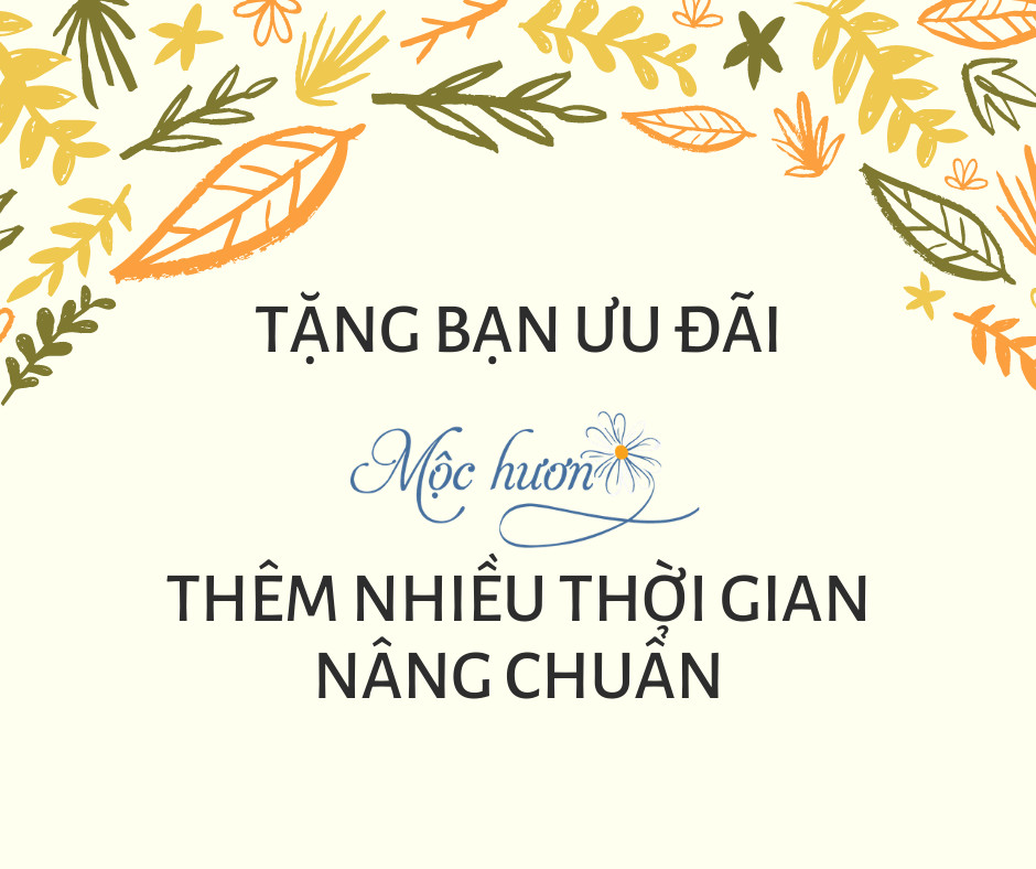 Ưu đãi 5% tất cả các đơn hàng đặt từ 5 đến 15 hàng tháng