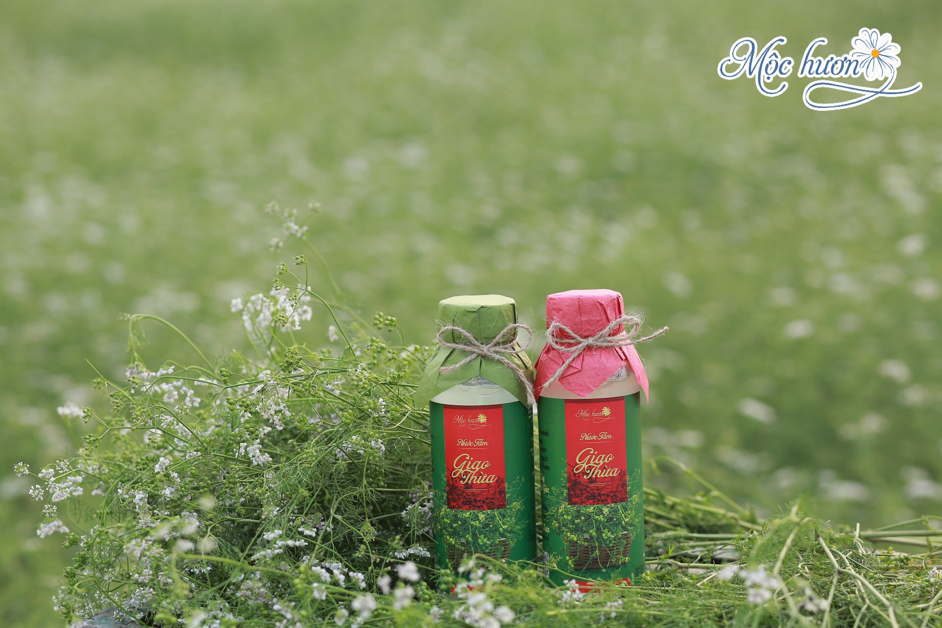 Quá trình mang may mắn vào từng sản phẩm Nước tắm Giao thừa Mộc Hương