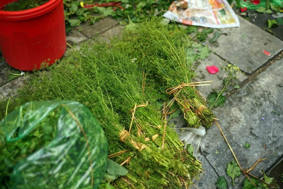 Tinh dầu mùi già là gì?