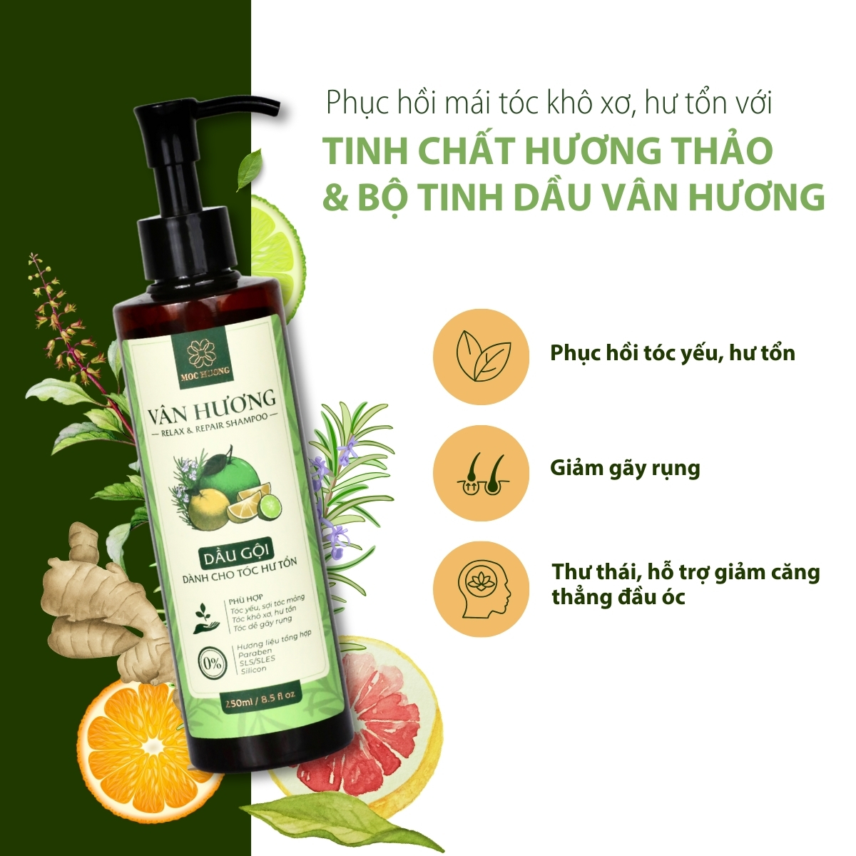 Gội Vân Hương 250ml
