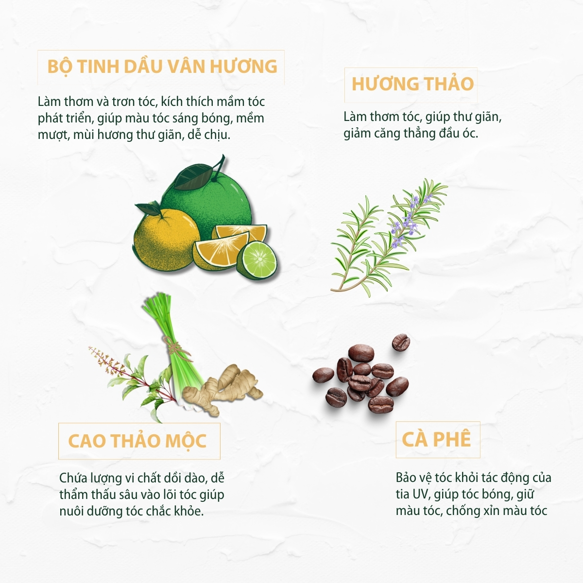 Gội Vân Hương 250ml