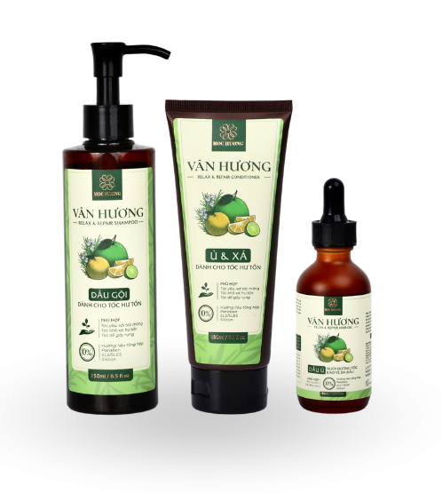 Combo phục hồi tóc hư tổn chuyên sâu tóc Vân Hương