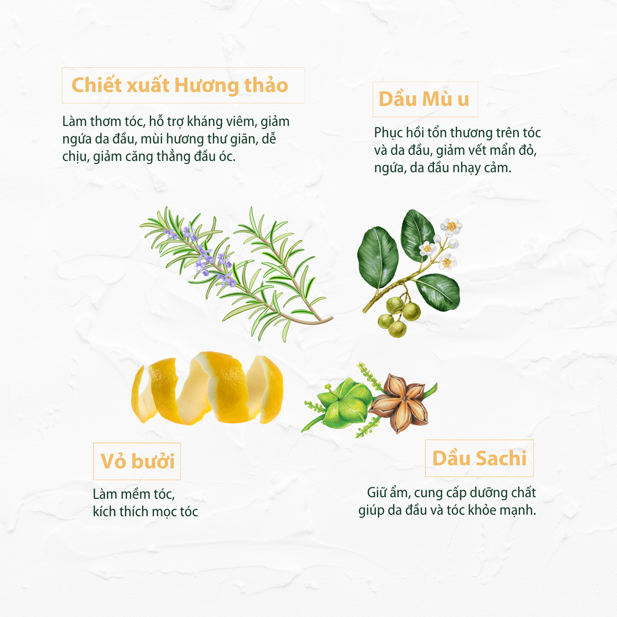 Dầu ủ Vân Hương 50ml