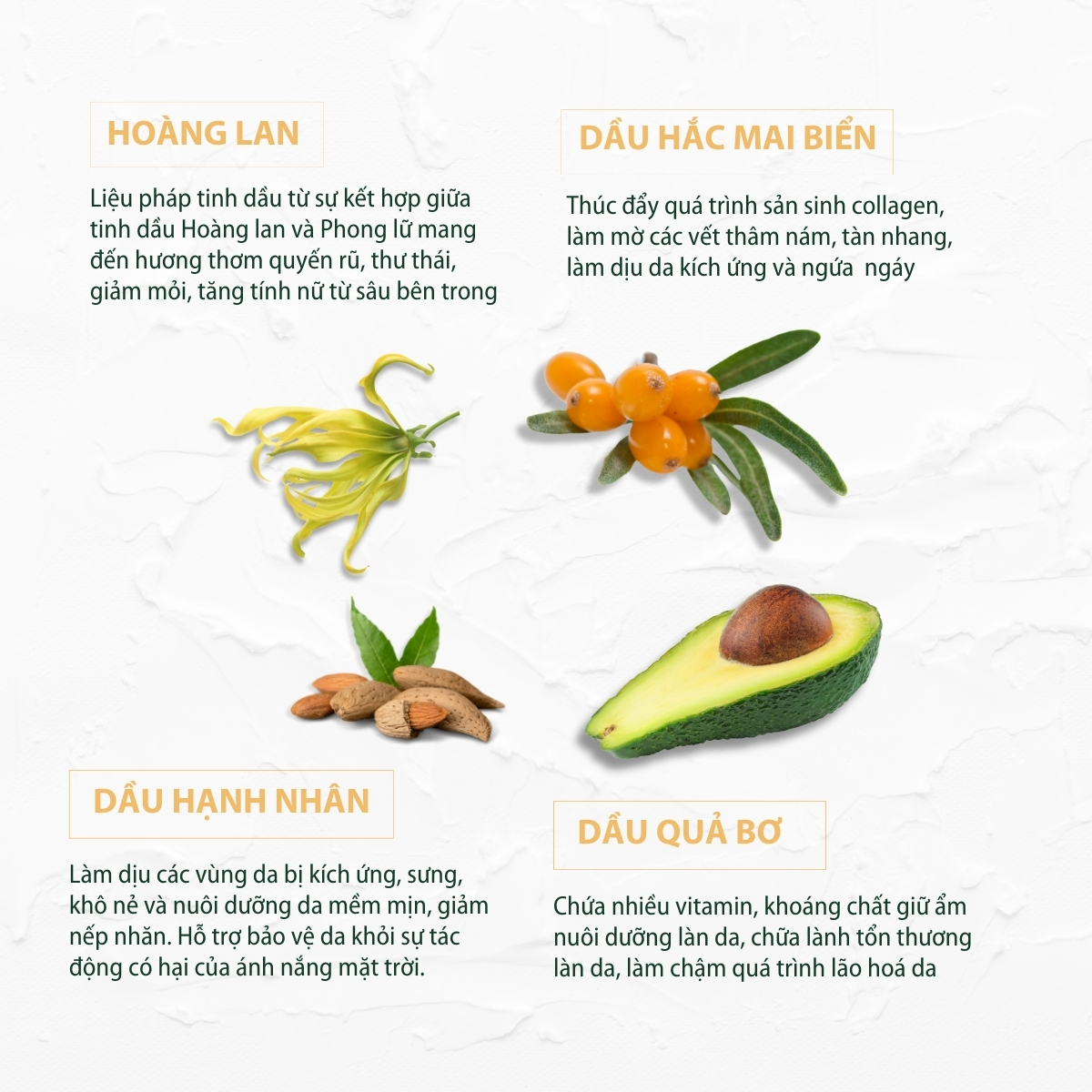 Dầu dưỡng body hoàng lan