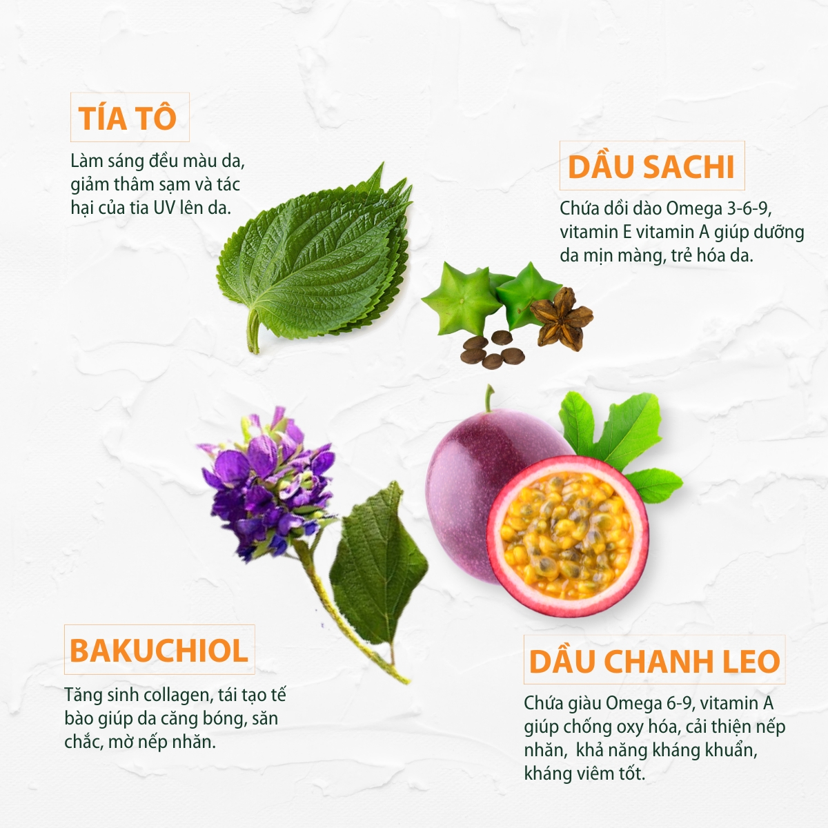 Dầu dưỡng tía tô - 10ml