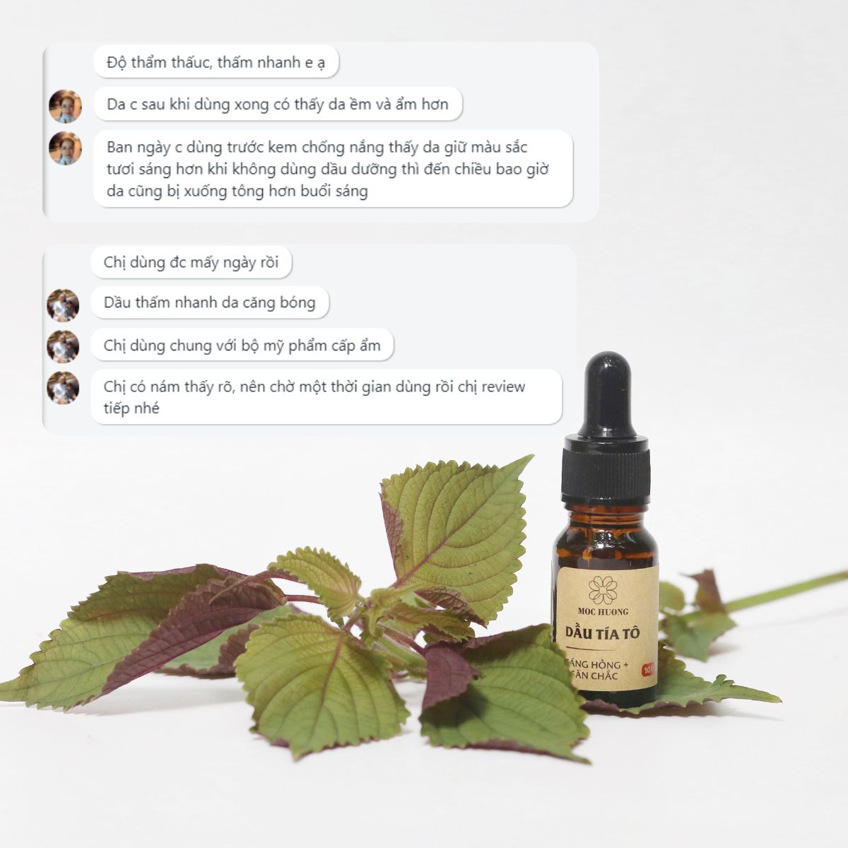 Dầu dưỡng tía tô - 10ml