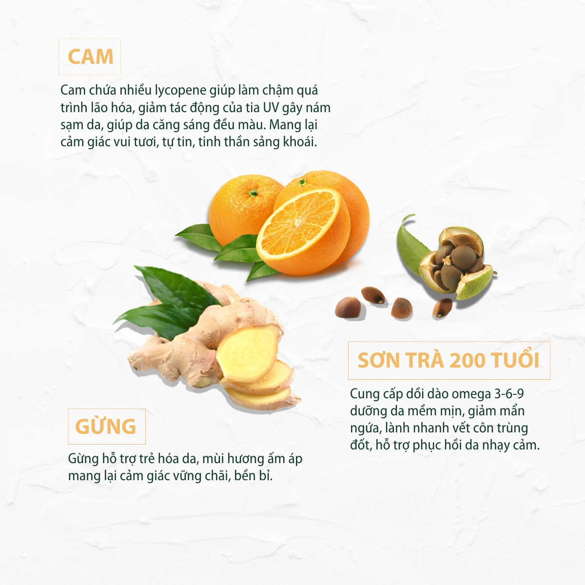 Gel tắm cam gừng 420ml