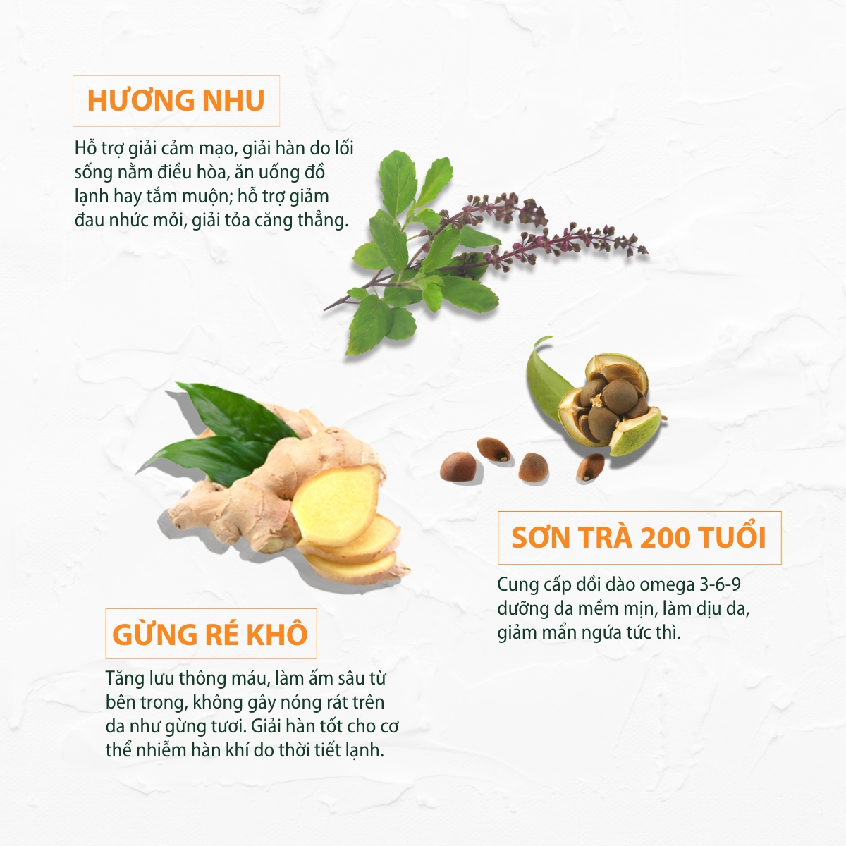 Gel tắm hương nhu - gừng 420ml