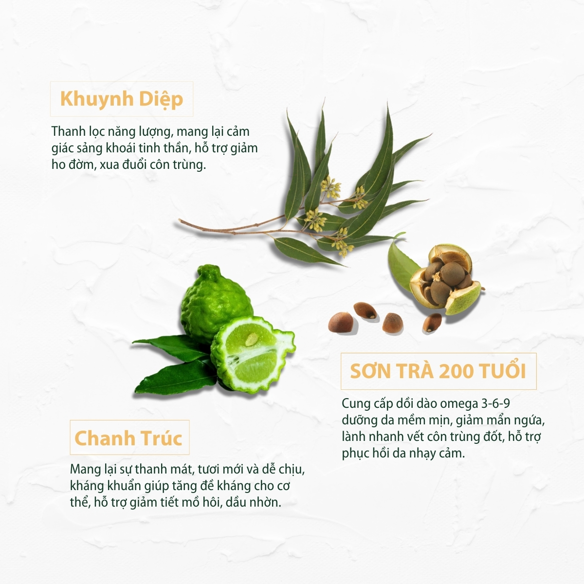 Gel tắm Khuynh diệp - chanh 420ml