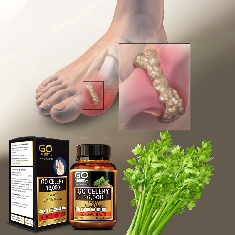 Hoạt chất Apium graveolens trong Cần Tây: Đột Phá Mới Trị Bệnh Gút
