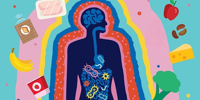 6 thói quen ăn uống khiến hệ vi sinh đường ruột suy yếu
