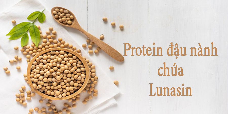 Chữa lành tự nhiên với Protein đậu nành chứa Lunasin