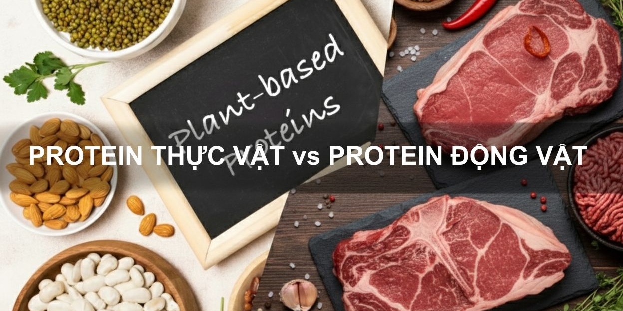Đạm động vật và đạm thực vật – Đâu mới là lựa chọn phù hợp?