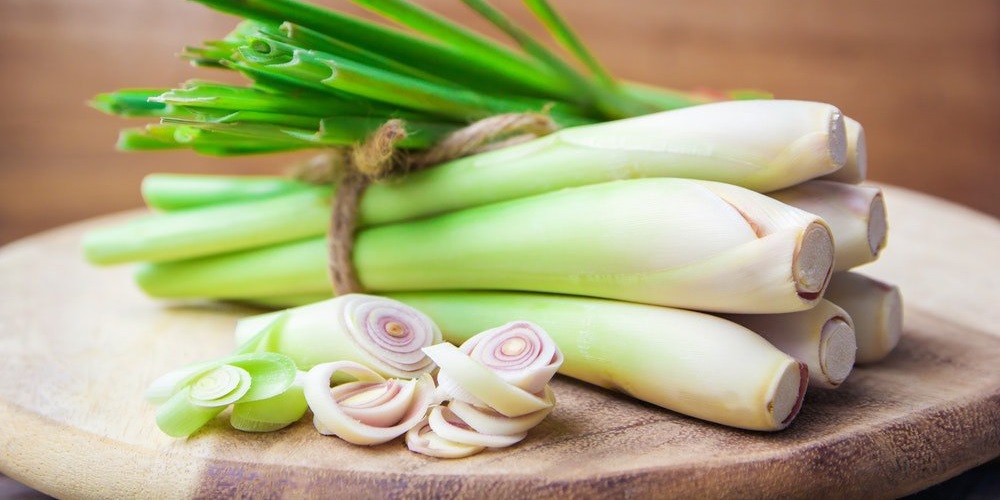 Cao sả: Vị thuốc quý cho nhiều vấn đề về sức khỏe
