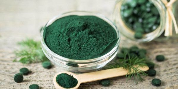 Công dụng độc đáo từ loại Tảo Nannochloropsis
