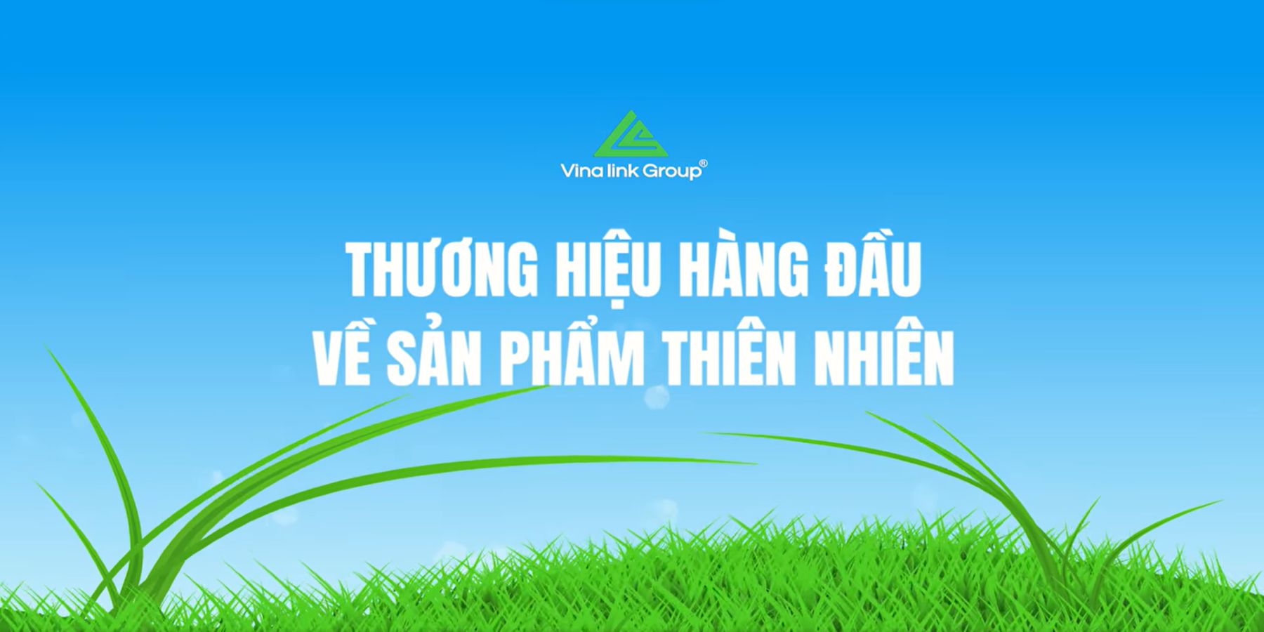 Vinalink Group - Tự hào thương hiệu Việt Nam