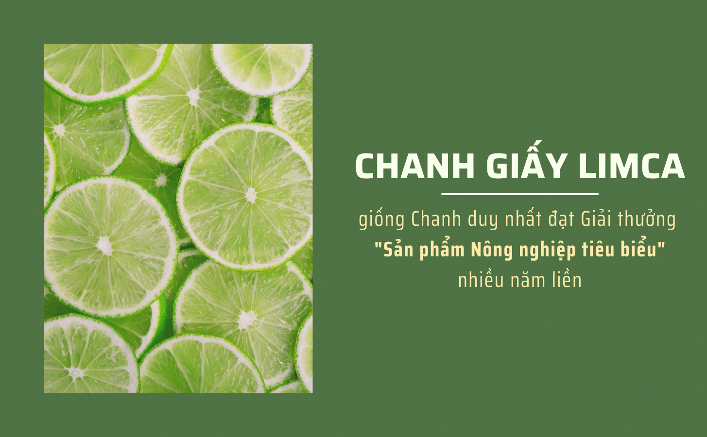 Chanh Giay Limca Khong Hat Nong Trang Island 10