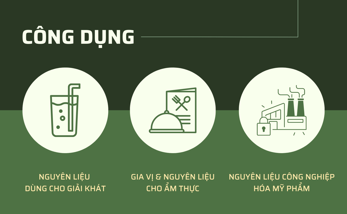 Chanh Giay Limca Khong Hat Nong Trang Island 6