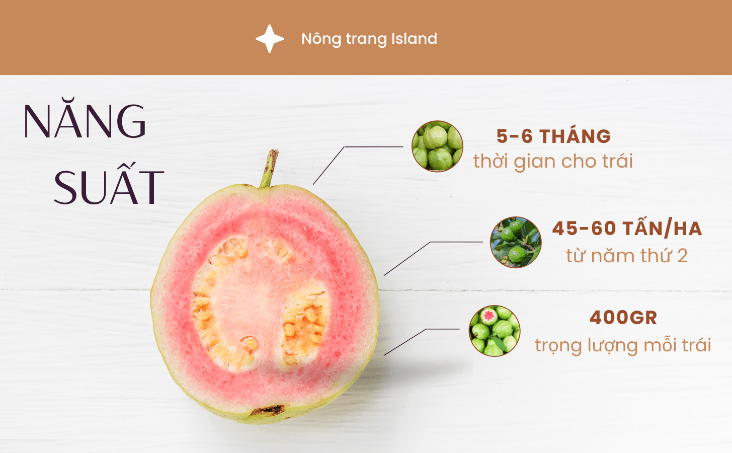 Oi Ruby Ruot Do Nong Trang Island 5