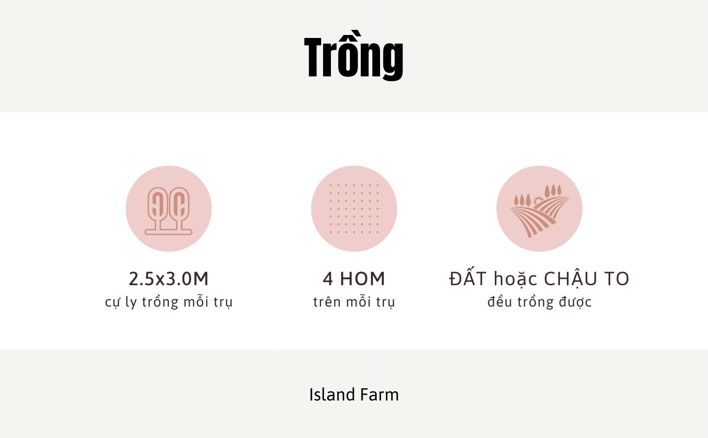 Thanh Long Ruot Do Nong Trang Island 4