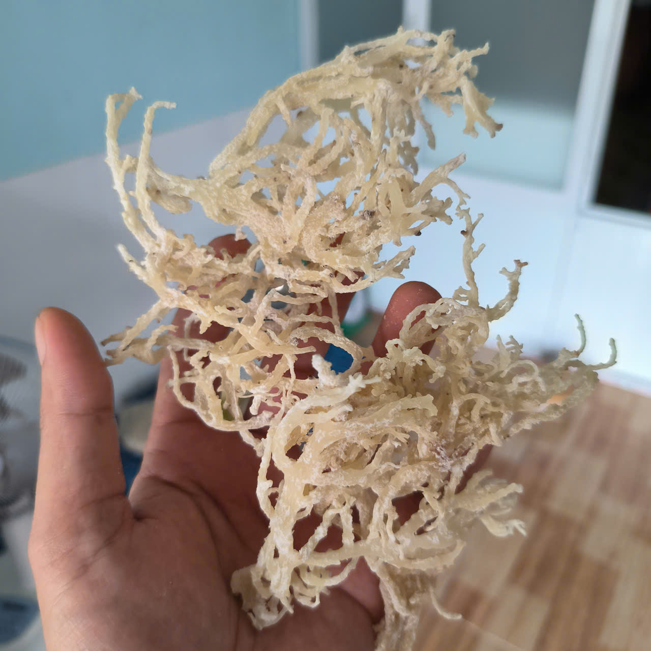 Raw sea moss: A technical overview for wholesale buyers and industry professionals