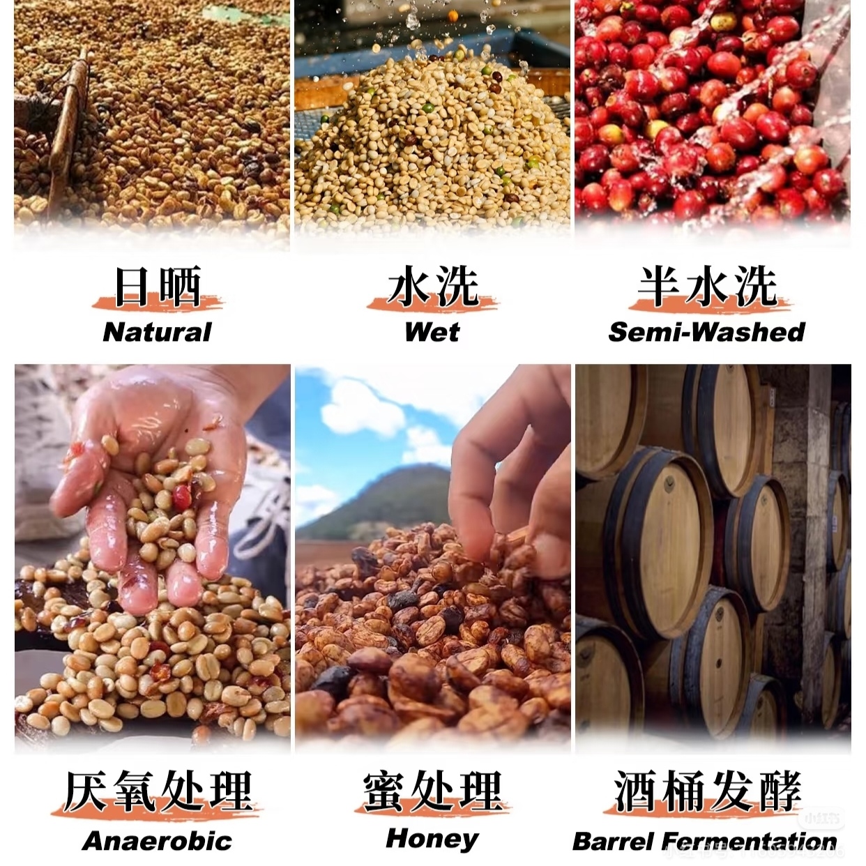 Cà phê lên men carbonic là gì? Phân biệt với anaerobic, natural, washed