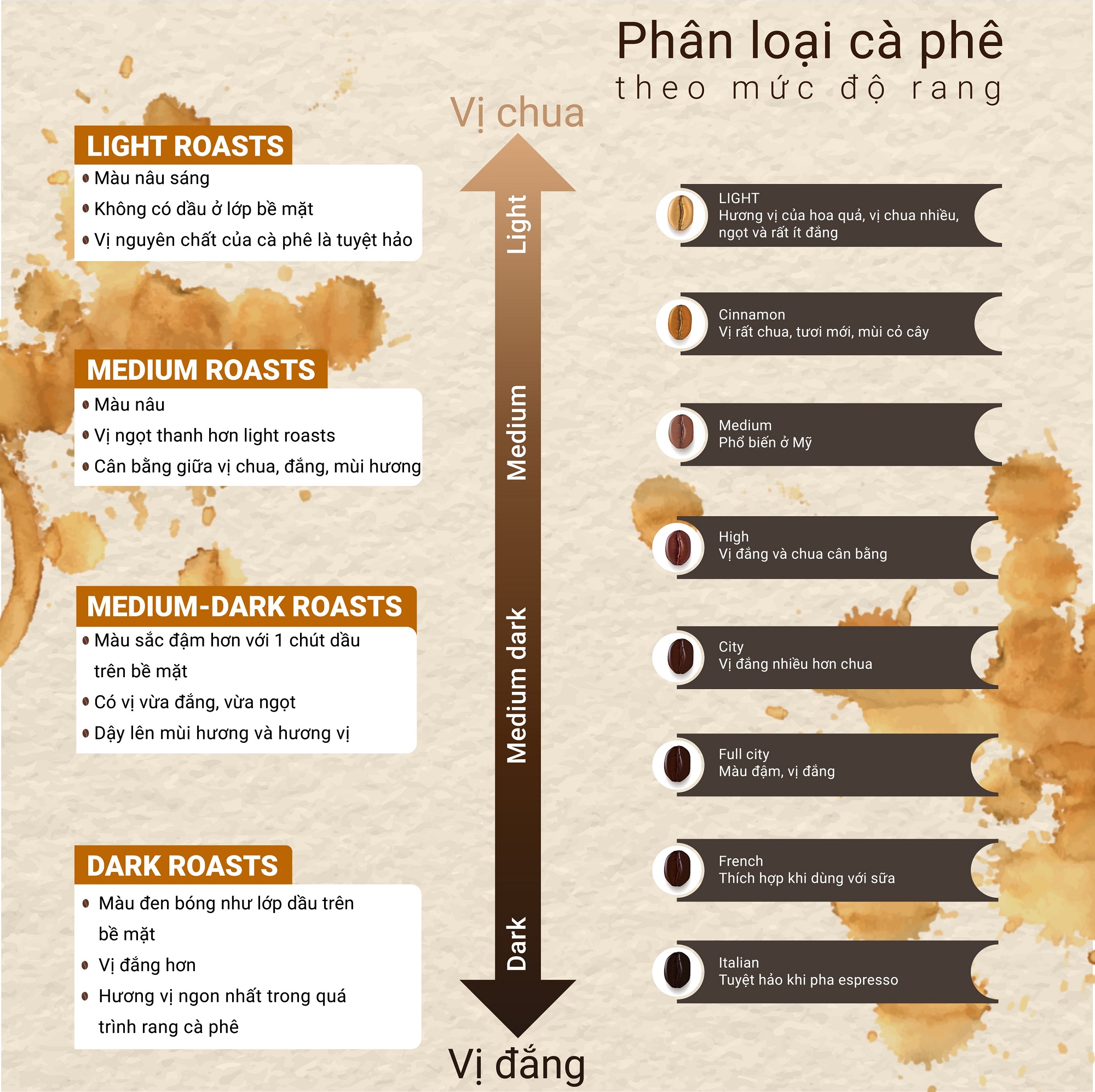 Phân loại cà phê theo mức độ rang: nhạt, vừa, đậm
