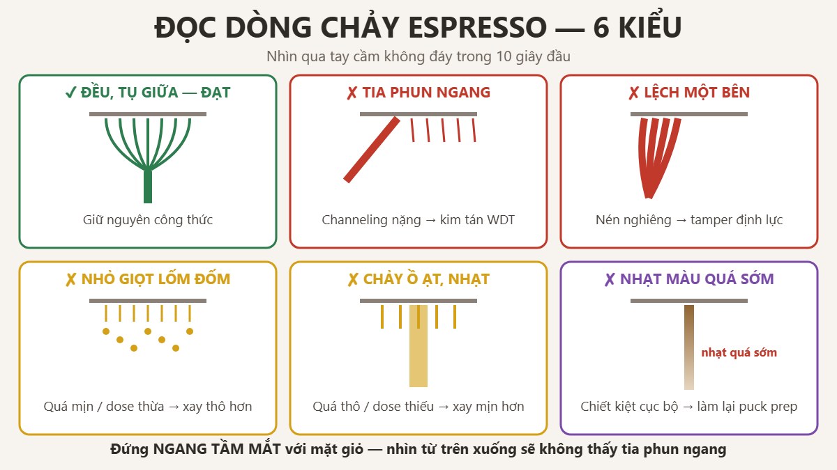 Sáu kiểu dòng chảy espresso nhìn qua tay cầm không đáy và ý nghĩa từng kiểu