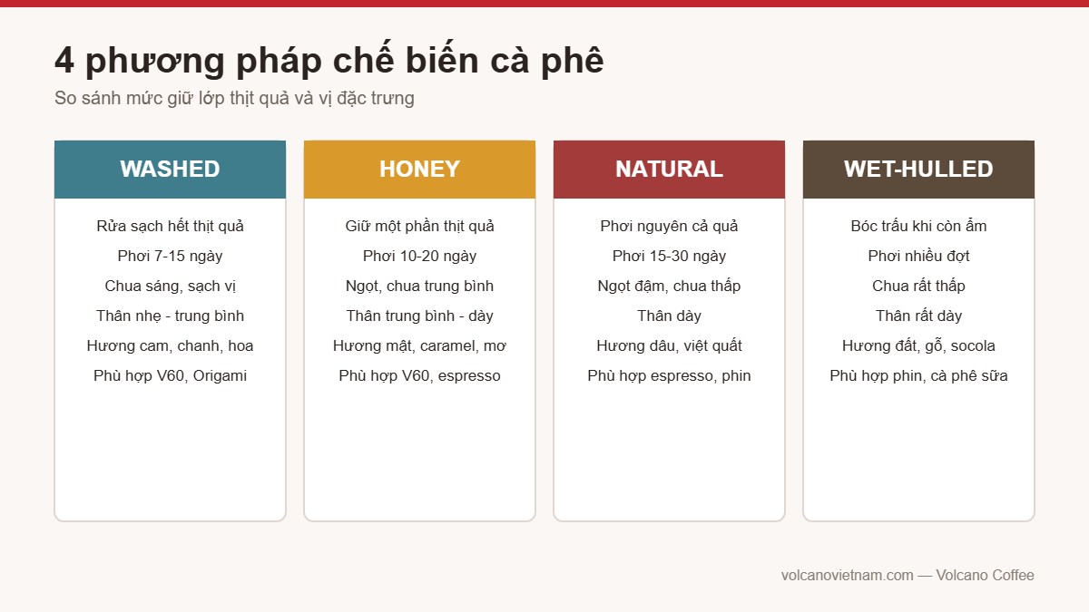 So sánh 4 phương pháp chế biến cà phê: washed, honey, natural, wet-hulled