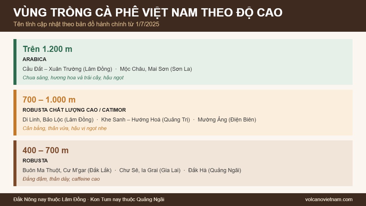 Sơ đồ vùng trồng cà phê Việt Nam theo độ cao, tên tỉnh cập nhật sau 1/7/2025