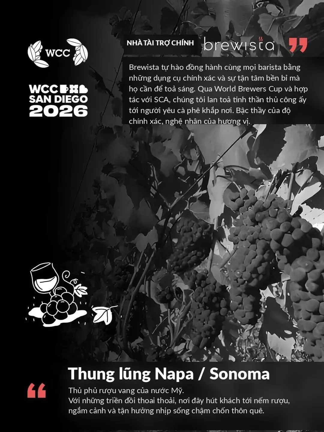 Hoa văn thung lũng rượu vang Napa Sonoma trên ấm Brewista WCC